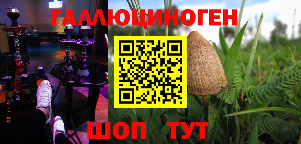 где купить наркоту  Псилоцибиновые грибы ЛСД  Вход с VPN  Тверь 